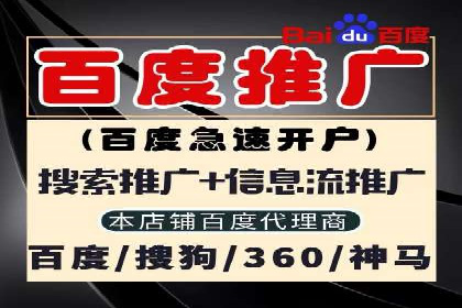 SEM优化实战：精准定位，提升广告转化
